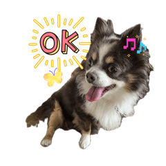 perocawaii_20260502212000