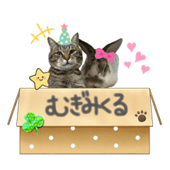 mimaru_20260502212923