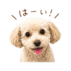 mana_20260502213149