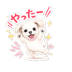 purinpapa_20260502212952