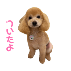 haruka_20260502213726