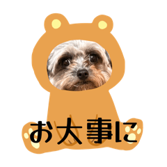 toto_20260502213510