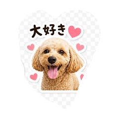 sachi_20260502213303