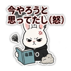 mush_20260502213421