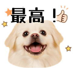 miu_20260502213253