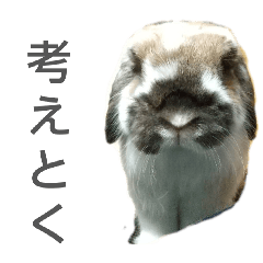 dangorosu_20260502213811