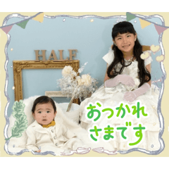 きちぽんぽん