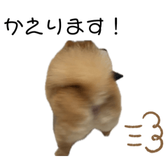 y_20260502214417