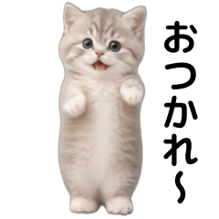 Dancing Silver Gray Cat (Animated)