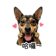 吉萊（1）