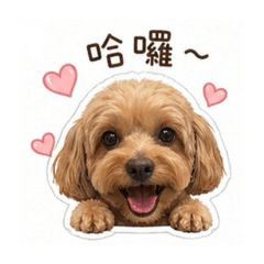 發仔小寶貝