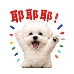 momo米茶3