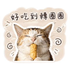 柚子貓貓的日常2