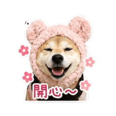 妹妹日常用語2