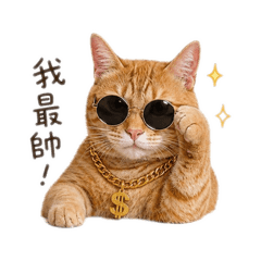 八月の日常