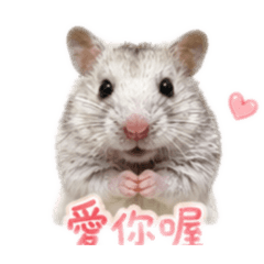 搞笑熊熊日常
