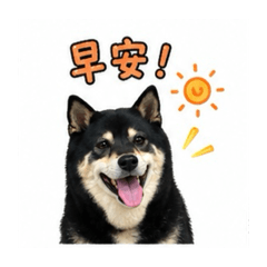 ShibaXiong