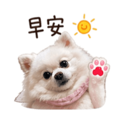 樂樂（日常篇1）