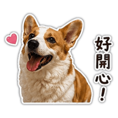 大神專用2