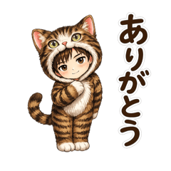 A Tabby and White Cat Feelings