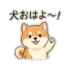 Daily Chat Stickers 67