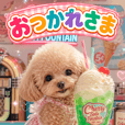 かのういさむさん専用③ いさむ】専用 - LINE スタンプ | LINE STORE