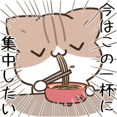 moving unmotivated calico cat gourmet3