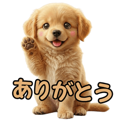 Golden Retriever Puppy Daily Stickers