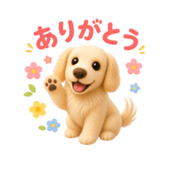 Mofu Studio
