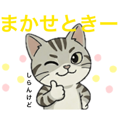 TORU TANAKA_20260501112052