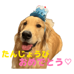 HISUKE3