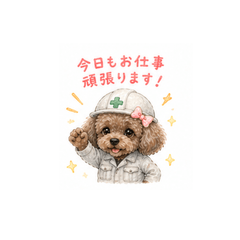 Choco's Work Stickers - Cute Toy Poodle
