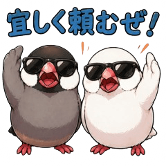 Sassy Java Sparrow Stickers
