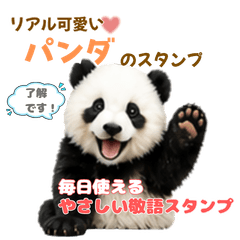 Soft & Polite Real Panda Stickers