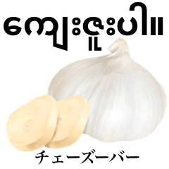 Raw garlic 23