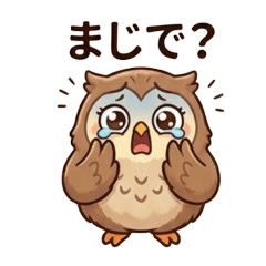 Owl Hoho03