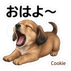 Cookie Relax Mood Stickers Vol.1