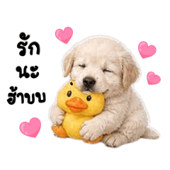 Sunny lovely puppy Ver.1