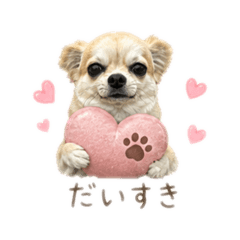 Nico Nico gumi_20260502215757