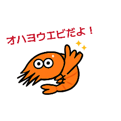 shrimp_20260502215829