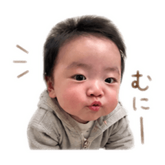 Shiratama_20260502215729