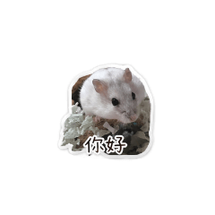 倉鼠小狸