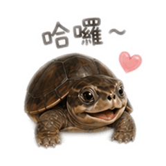 愛吃鬼肚比（日常篇）