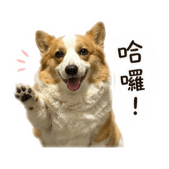 偷偷小姐