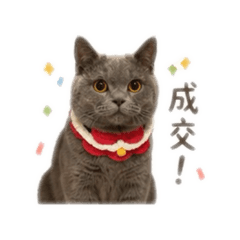 錢錢多多的房仲日常