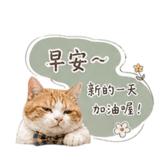 大鼻の日常語錄用語