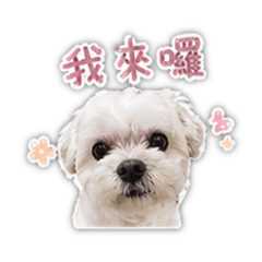 萬萬的貼圖