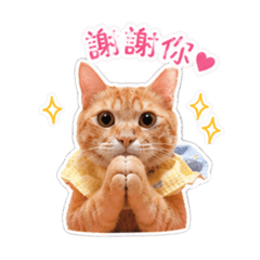 巧虎喵生