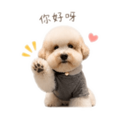 吳娜