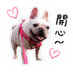 胖B